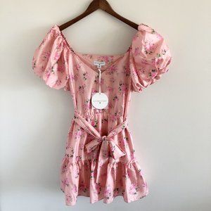 NWT Loveshackfancy Target Cecile Puff Sleeve Mini Dress 10 Pink Floral